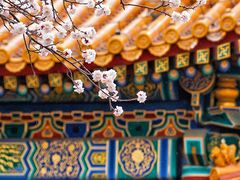 -故宫博物院(故宫)