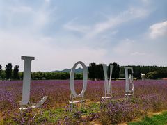 -北京东方普罗旺斯薰衣草庄园
