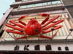 -蟹道乐(道顿堀本店)