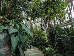 -郑州植物园
