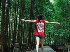 -桤木河湿地公园