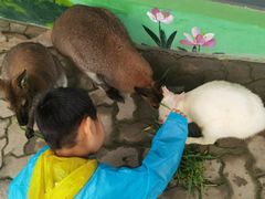 -西霞口神雕山野生动物世界