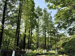 -呈贡滇池生态湿地公园