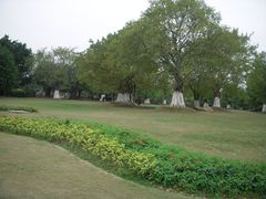 -南宁南湖公园