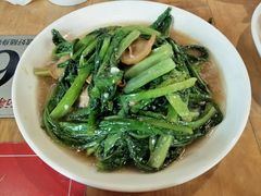 油麦菜-醉得意(济南万达店)