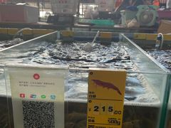 -鸿港海鲜批发市场