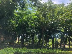 -厦门帝元维多利亚大酒店(环岛路黄厝海滩店)