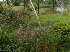 -瑶湖郊野森林公园