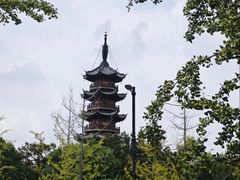 -龙华素斋(龙华路店)