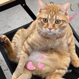 周末偶遇到天河南安静一隅咖啡店🐱