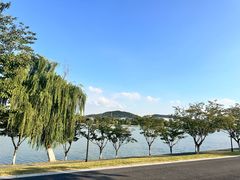 -羊山湖公园