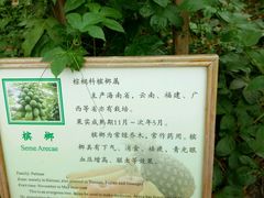 -上海都市菜园