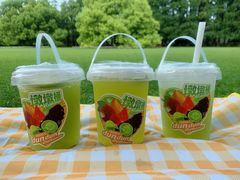 -上海共青森林公园