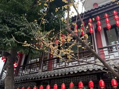 -钦善斋(武侯祠店)
