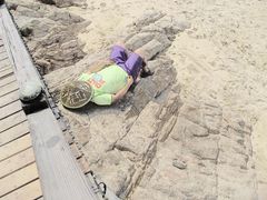 -黄金海岸环岛路