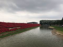 -迪茵湖田家舍生态农场