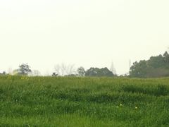 -三圣花乡旅游区
