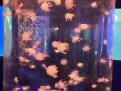 -杭州海底世界