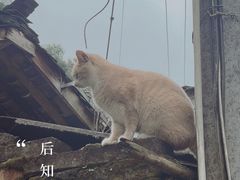 -雅安上里古镇