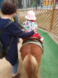 -萌宠亲子动物乐园(槐房万达店)