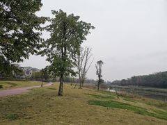 -两河城市森林公园