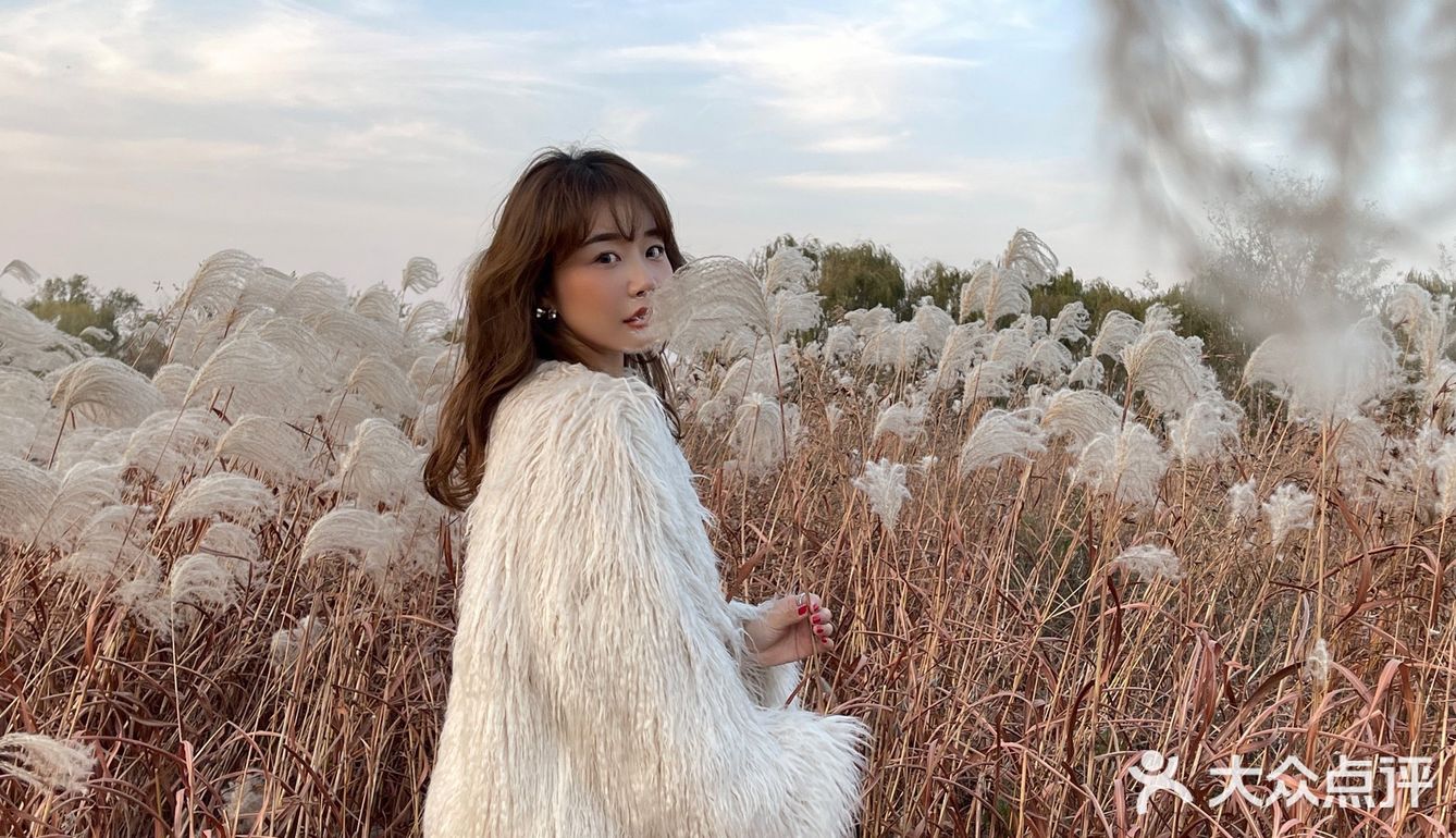 济南免费拍照圣地❗️芦苇荡拍照攻略