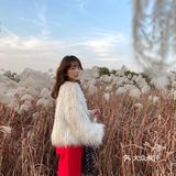 济南免费拍照圣地❗️芦苇荡拍照攻略