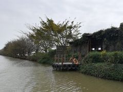 -大湾区中央湿地公园