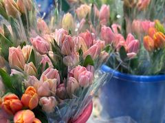 -循礼门鲜花花市(武汉循礼门店)