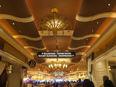 -拉斯维加斯永利酒店