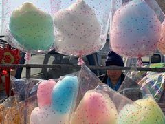 -蒲河大集
