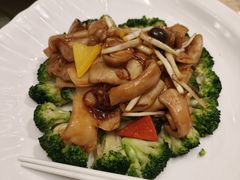 -千灯盛汇·头牌粤菜(致越优城店)