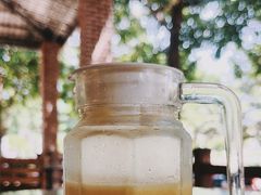 -兴隆槟榔园休闲农庄