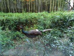 -苏州环秀晓筑养生度假村