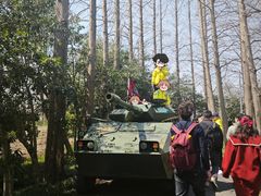 -上海长兴岛郊野公园