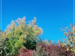 -鹫峰国家森林公园