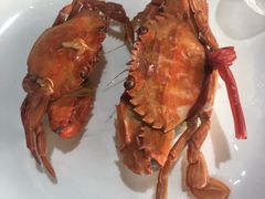 -339旋转餐厅(天府熊猫塔店)