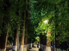 -南通濠河风景名胜区