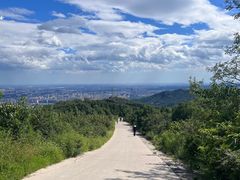 -北京西山国家森林公园