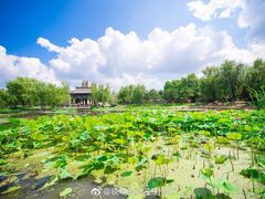 -舍利塔滩地公园-无垢净光舍利塔