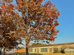 -东钱湖旅游度假区