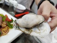 台山蚝-蚝专家(北滘店)