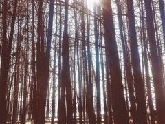 -东湖落雁景区