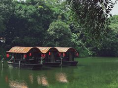 -侨美·唐荔园·40年地道粤菜