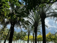 -海南清水湾莱佛士酒店