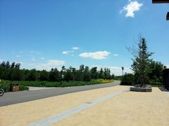 -永定河休闲森林公园