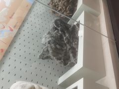 -浙江自然博物院(杭州馆)