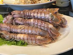 -船歌·鱼水饺青岛菜(金狮广场店)
