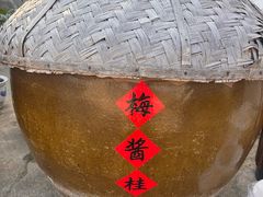 -苏州市吴中区光福窑上花果蜜饯厂