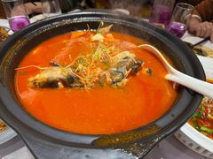 酸汤鱼-贵州大厦贵州厅(樱花园西街店)